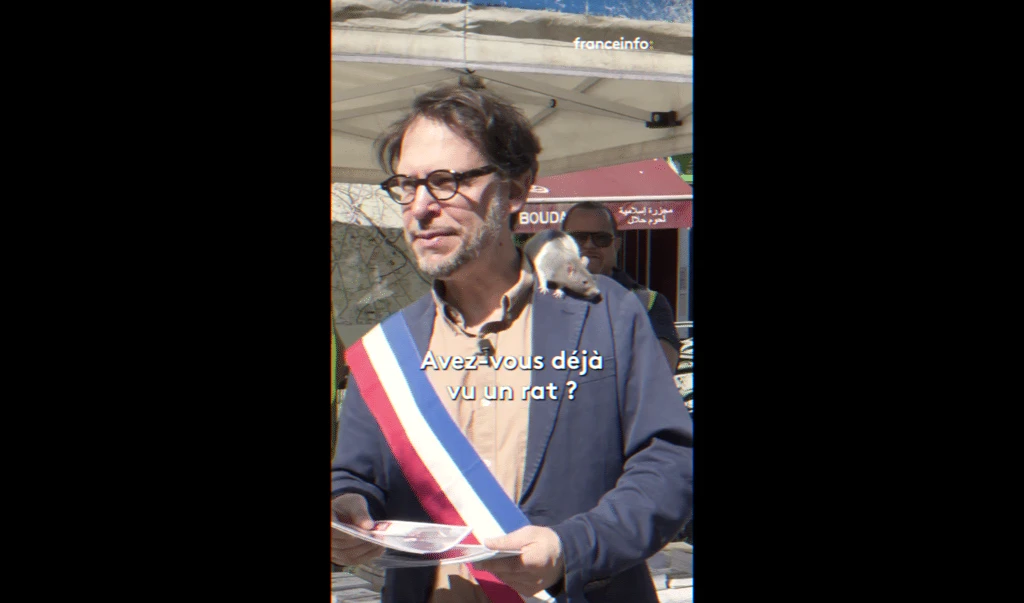 Paris rat controversy — prevention, dératisation and public health risks