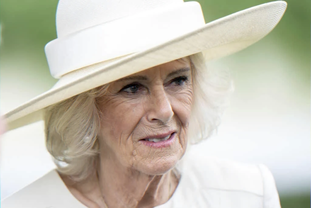 royal-privacy-book-excerpts-debate