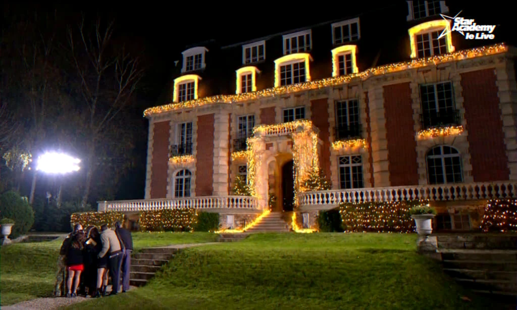Château des Vives‑Eaux vente judiciaire Dammarie‑les‑Lys