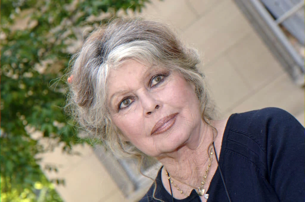 Film tribute cancellation and rescheduling after the passing of a film icon