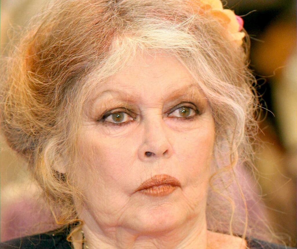 Garrigue Saint-Tropez animal evacuation controversy