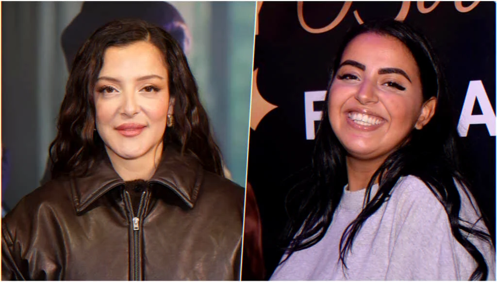 débat-imitation-virale-humour-en-ligne-et-maternité