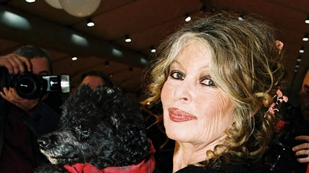 funeral tribute and animal-protection symbol