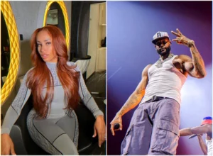 Public apology and truce after a cyberharassment complaint, album release context