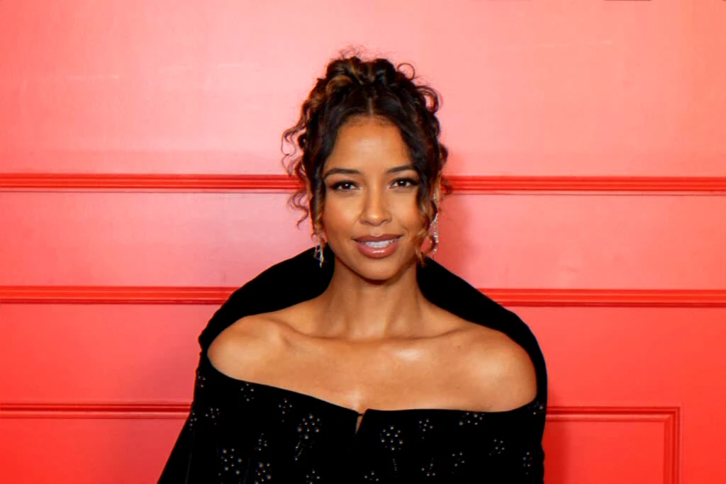 Miss France 2014 profile — media career and Kelina foundation