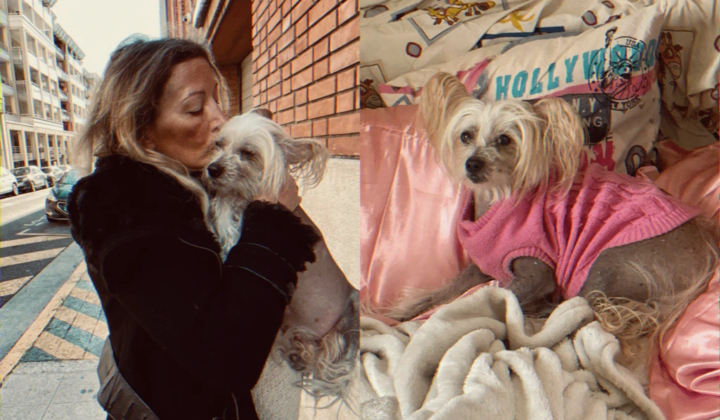 Loana retrouvée morte à Nice et décès du chien Titi, enquête ouverte