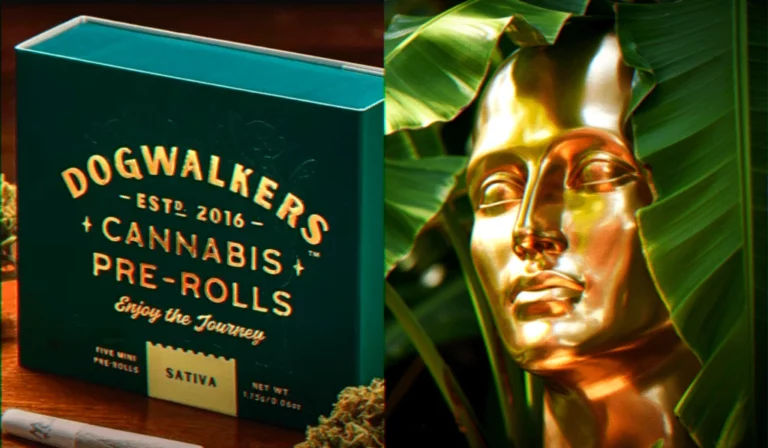 Oscars 2026 sac cadeau cannabis luxe