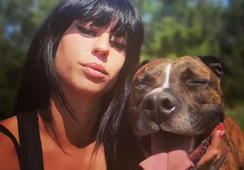 trial over fatal dog attack and owner responsibility