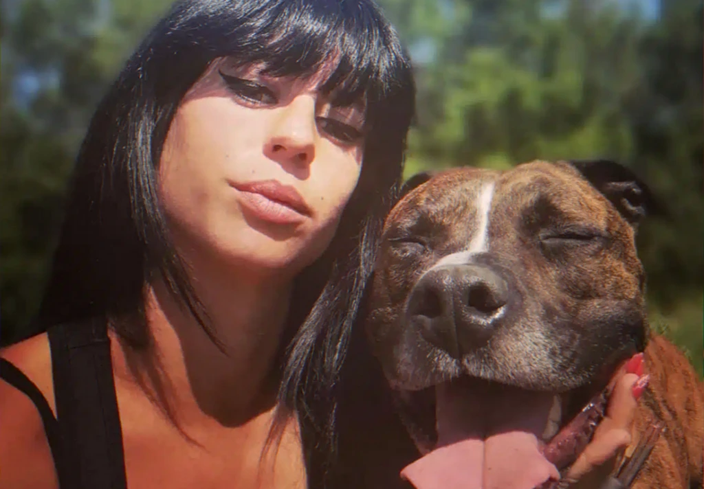 proces-pitbull-soissons-verdict-attendu-5-mars