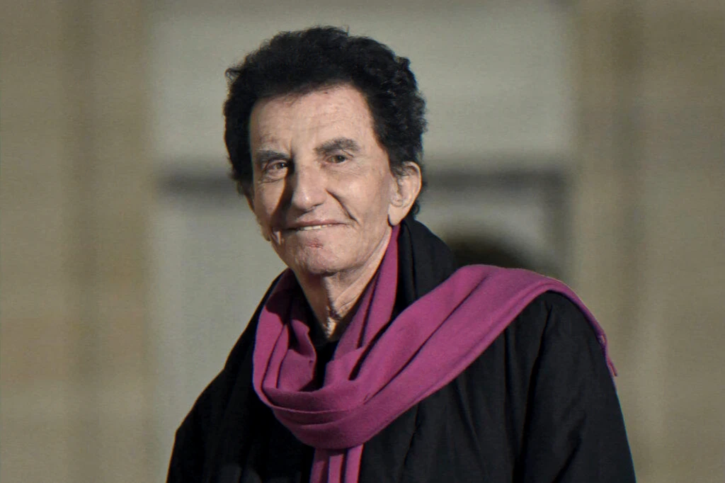 Complément d'Enquête interview on Epstein files